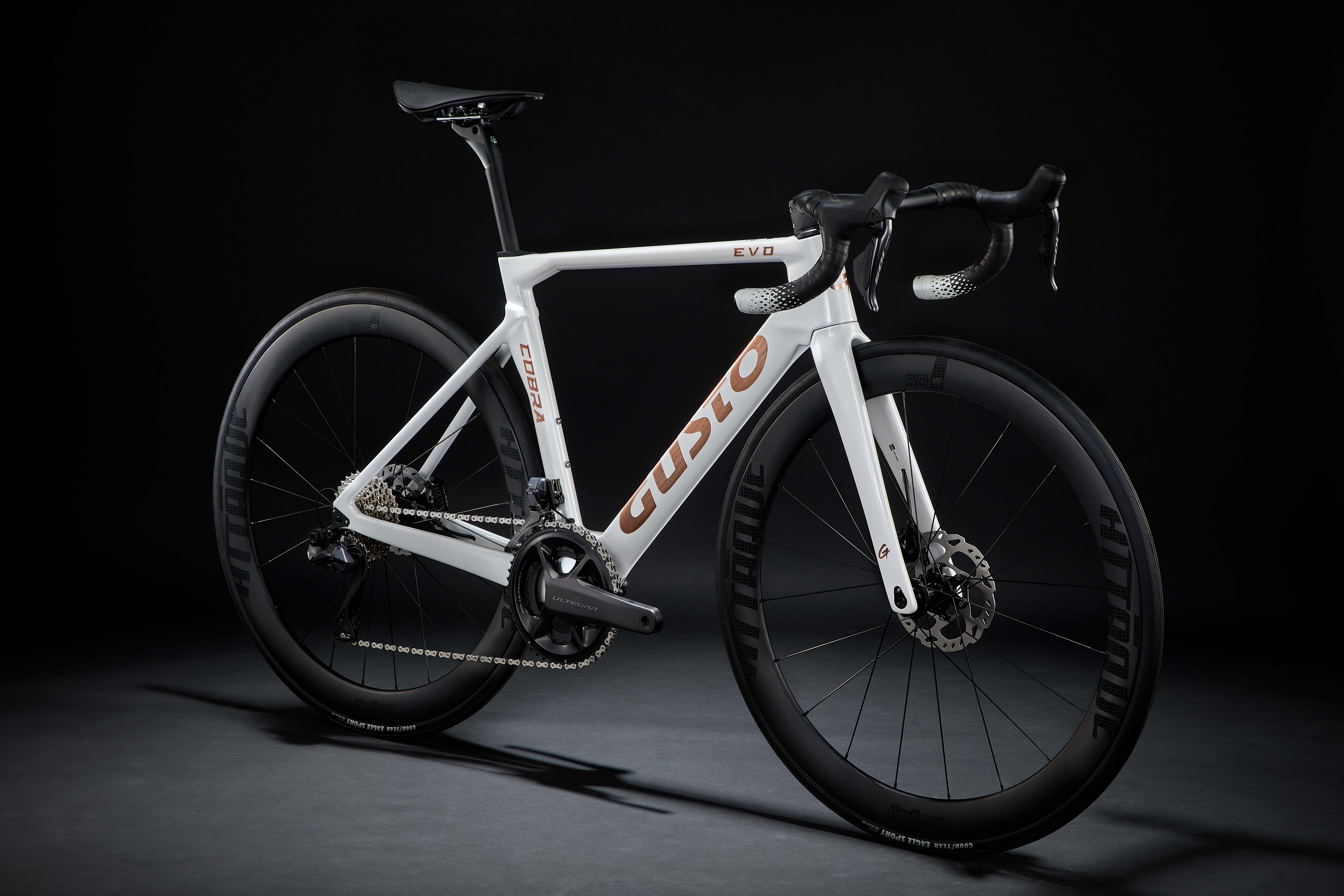 COBRA EVO DB PRO TE – GUSTO高士特
